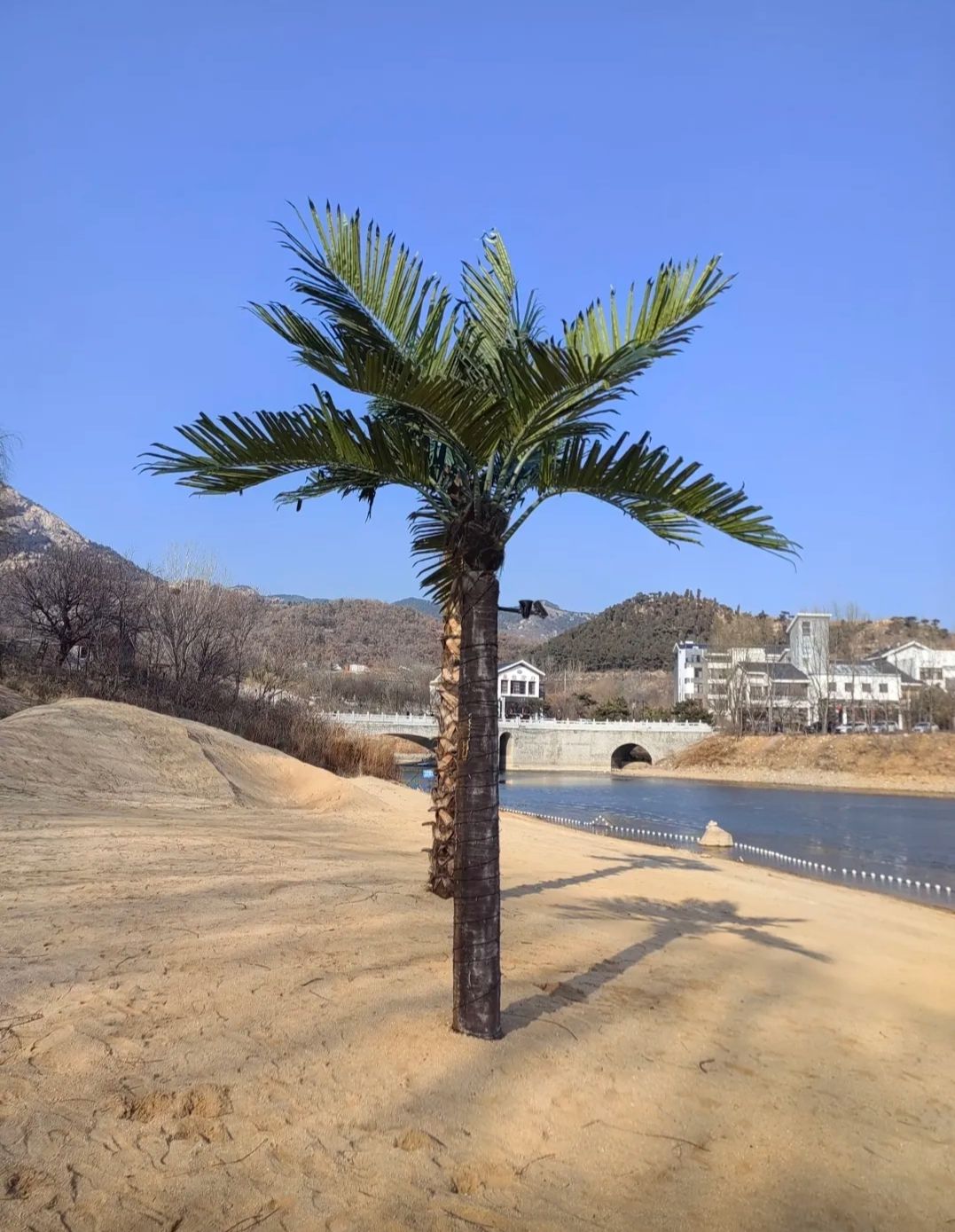 新泰莲花湖风景区旅行图片 3