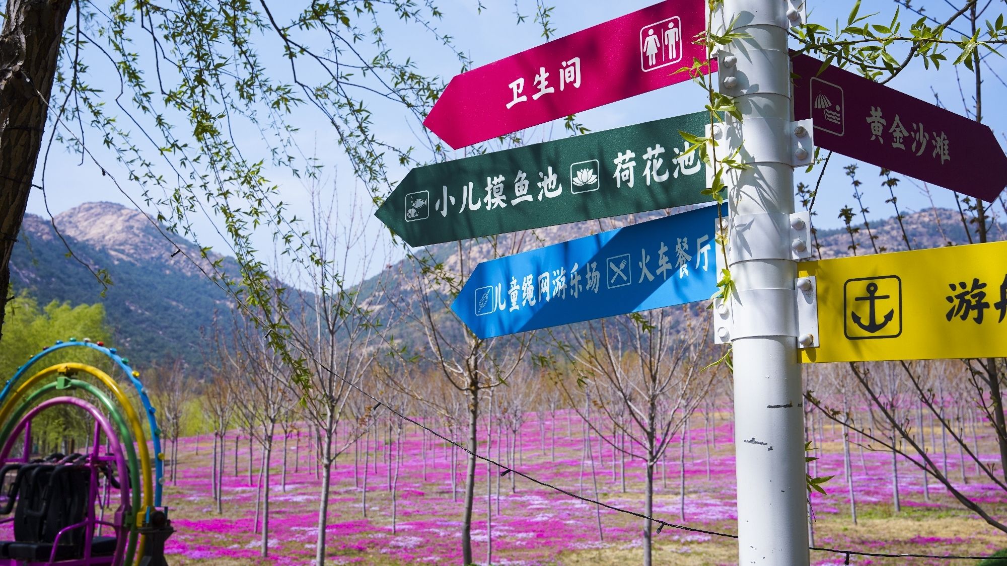 新泰莲花湖风景区旅行图片 3