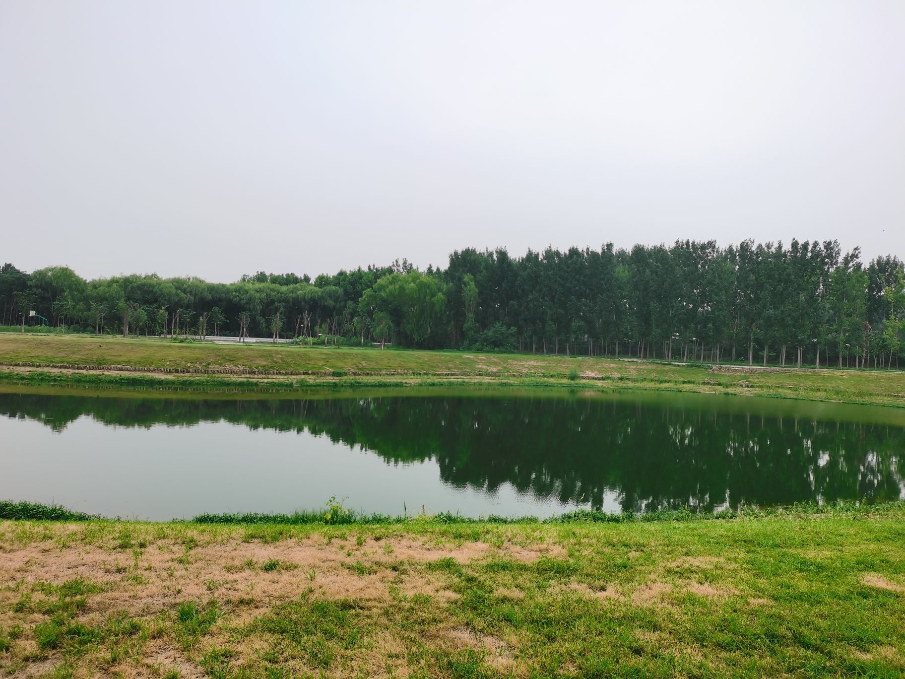 濮东体育公园旅行图片 2