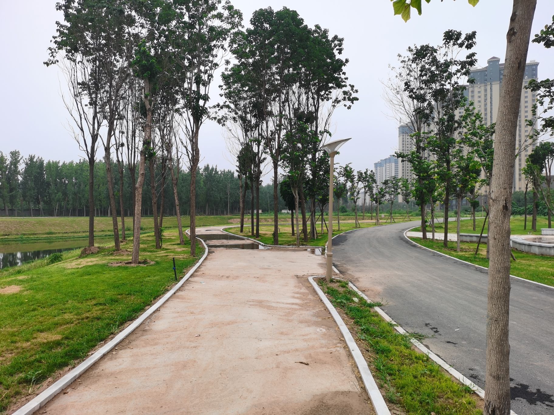 濮东体育公园旅行图片 3