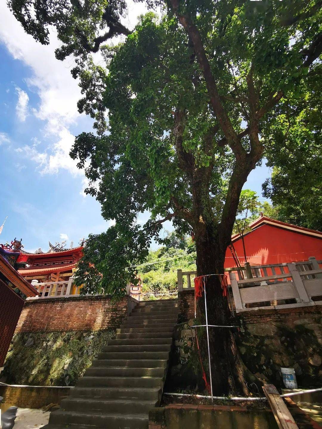 漳州林前岩寺旅行图片 3
