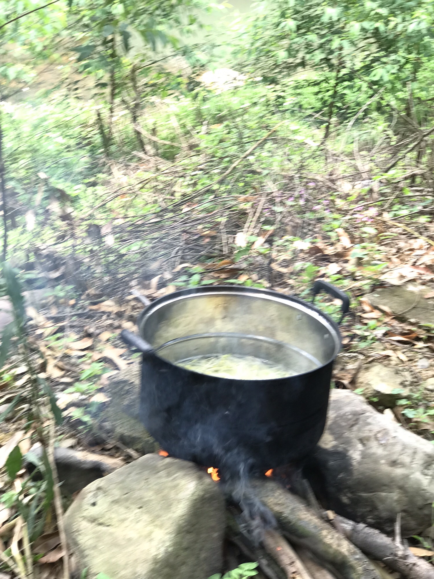 上林福人湖生态旅游区旅行图片 1