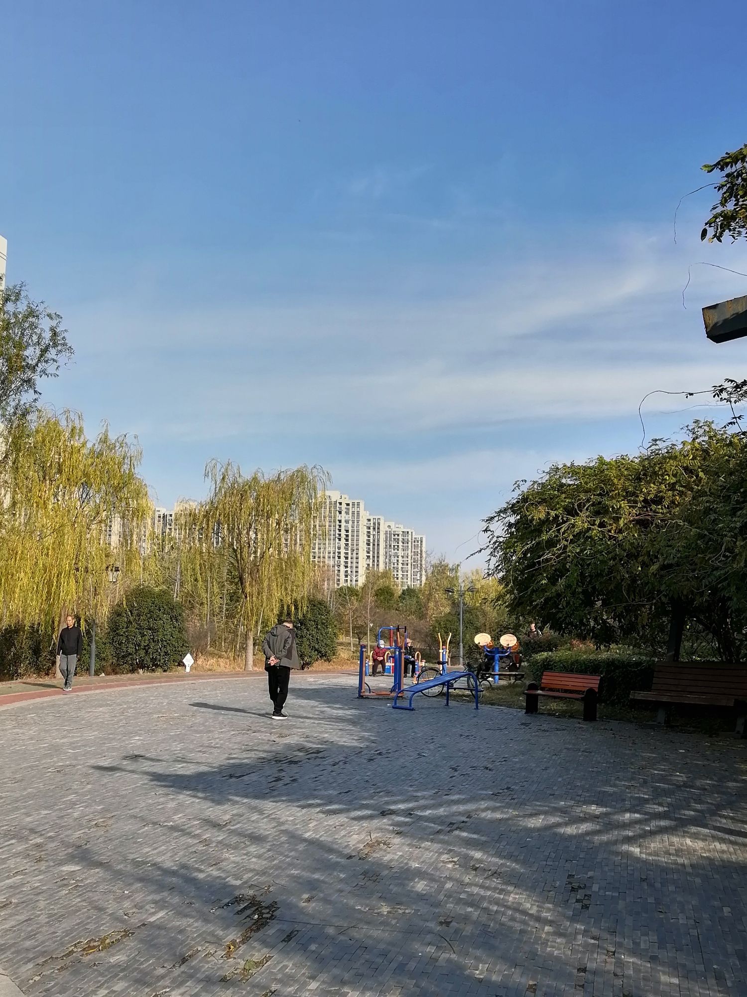 梅园公园旅行图片 3