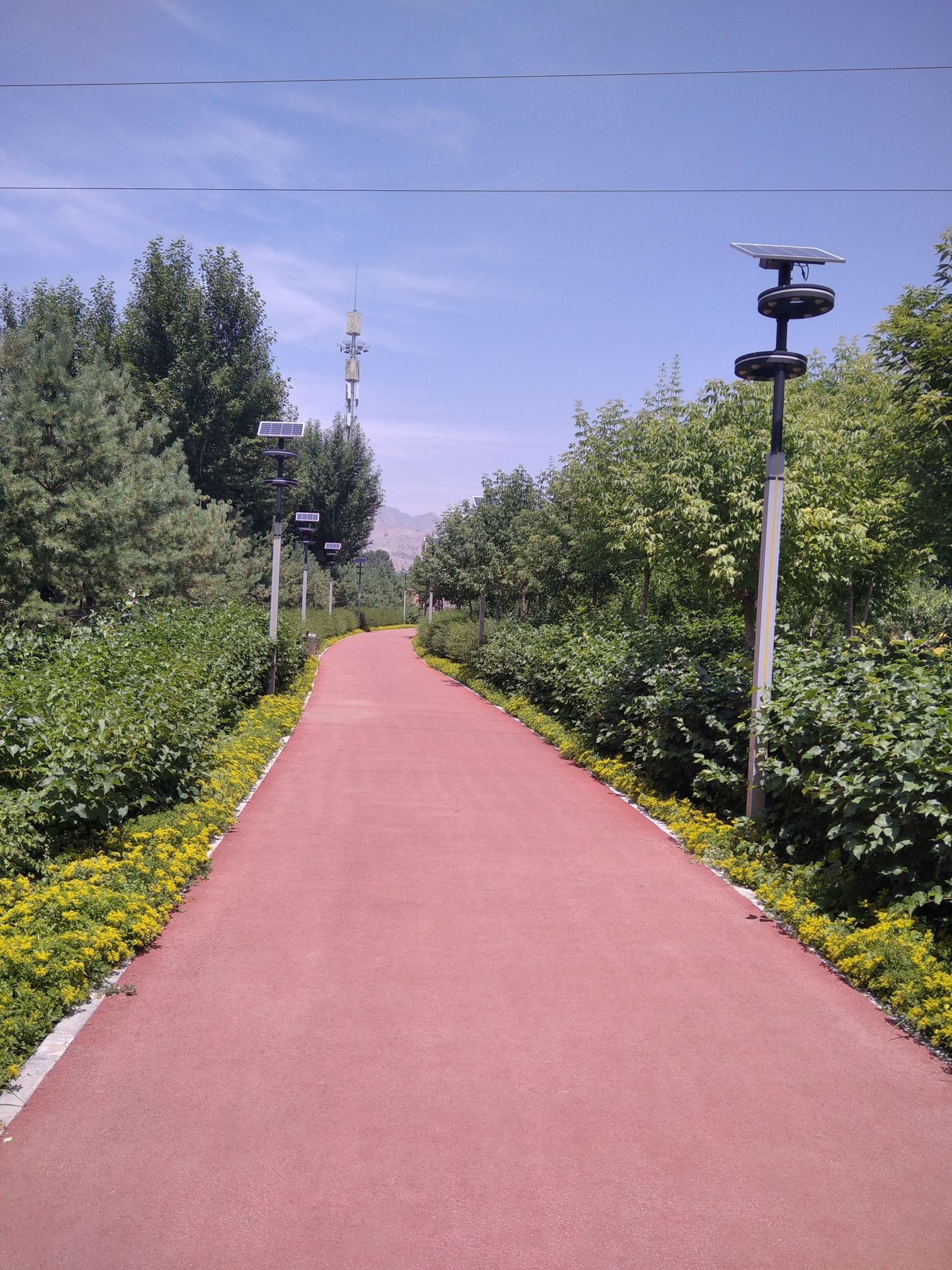 土默川植物园旅行图片 1