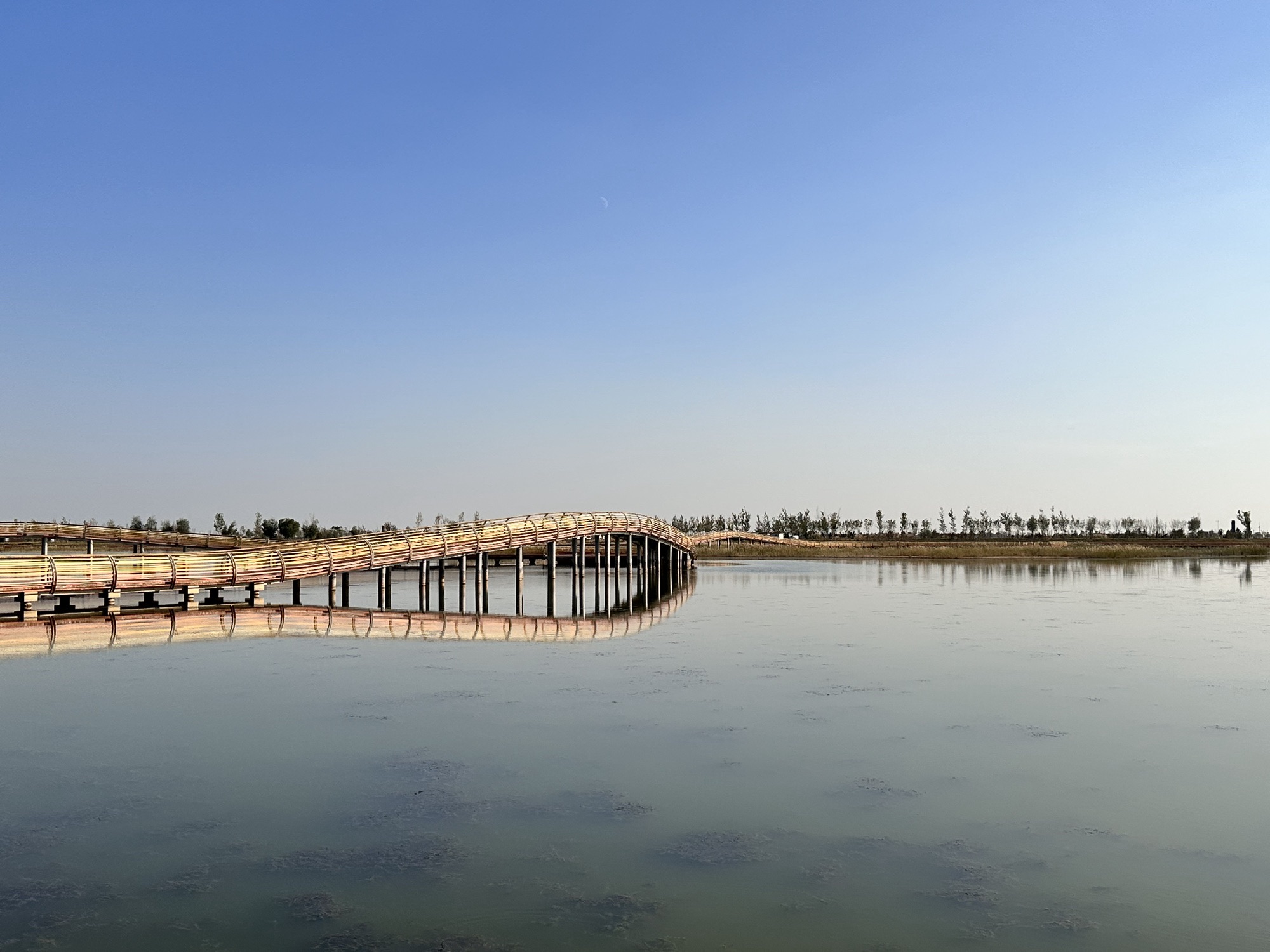 天鹅湖彩虹桥旅行图片 3