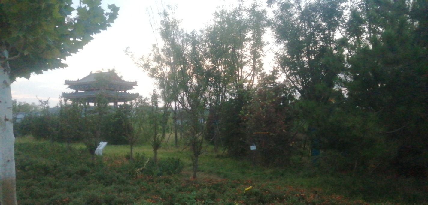 邯郸园旅行图片 3