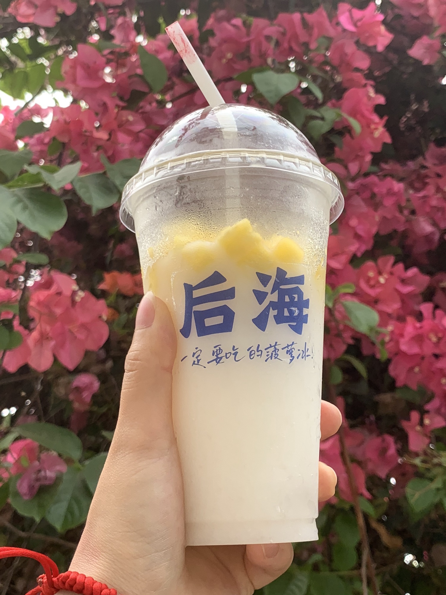 龙玺冲浪俱乐部旅行图片 1