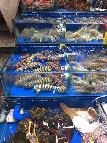 沙扒海鲜批发市场