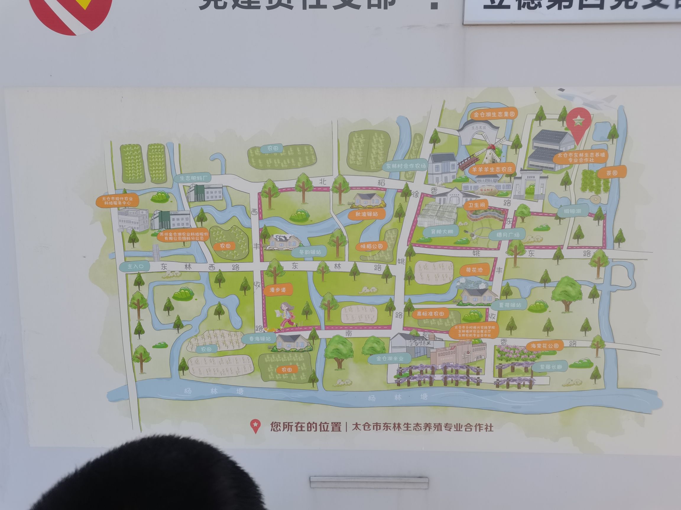 东林小火车旅行图片 1