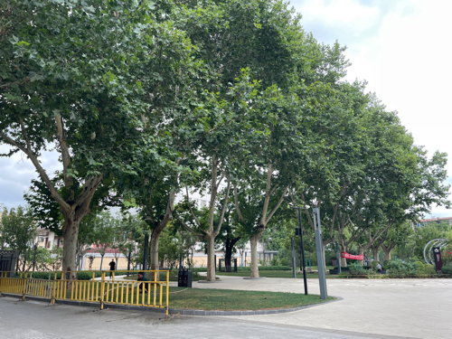 水塔游园旅行图片 1