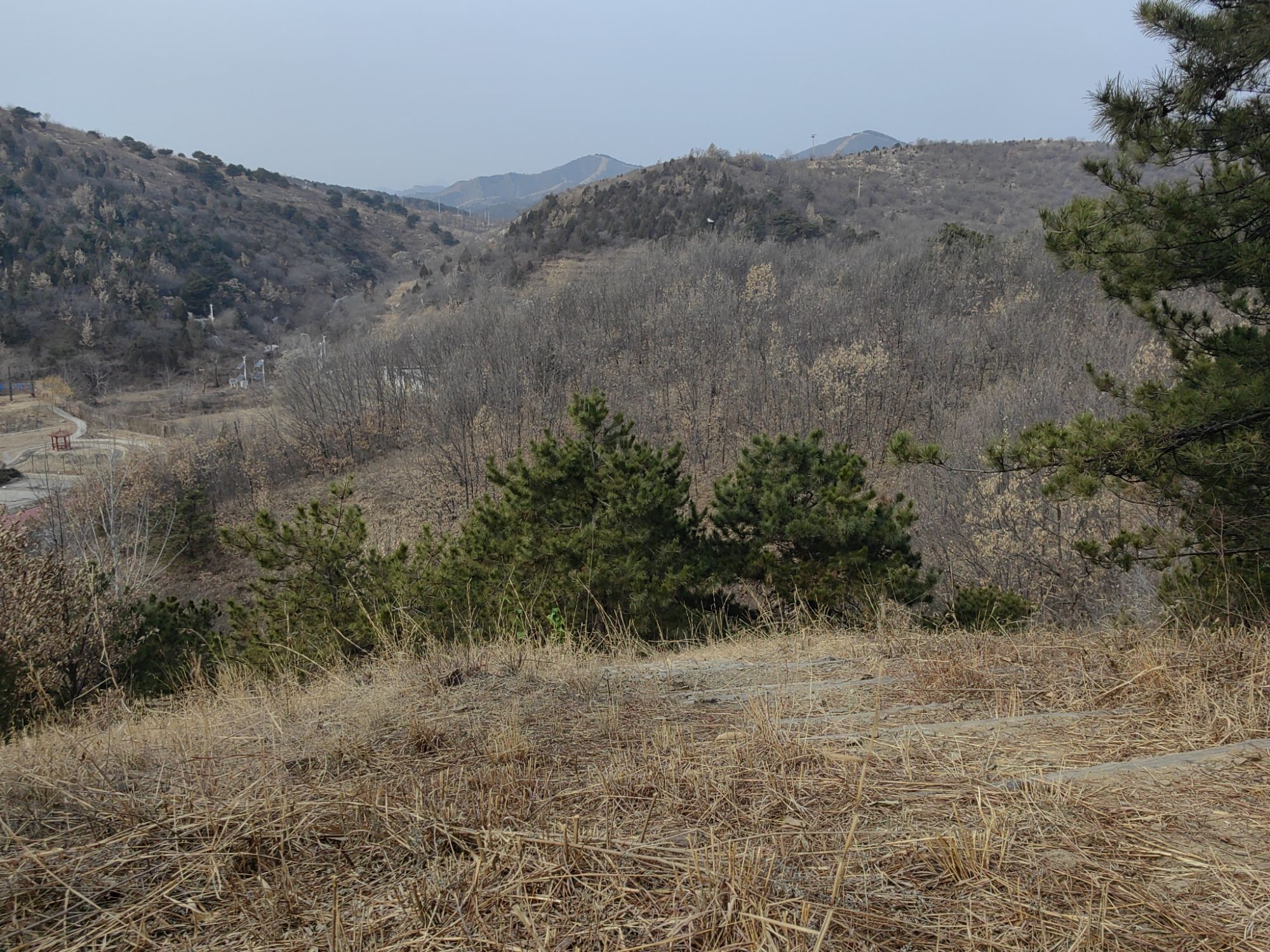 铁岭子登山步道旅行图片 3