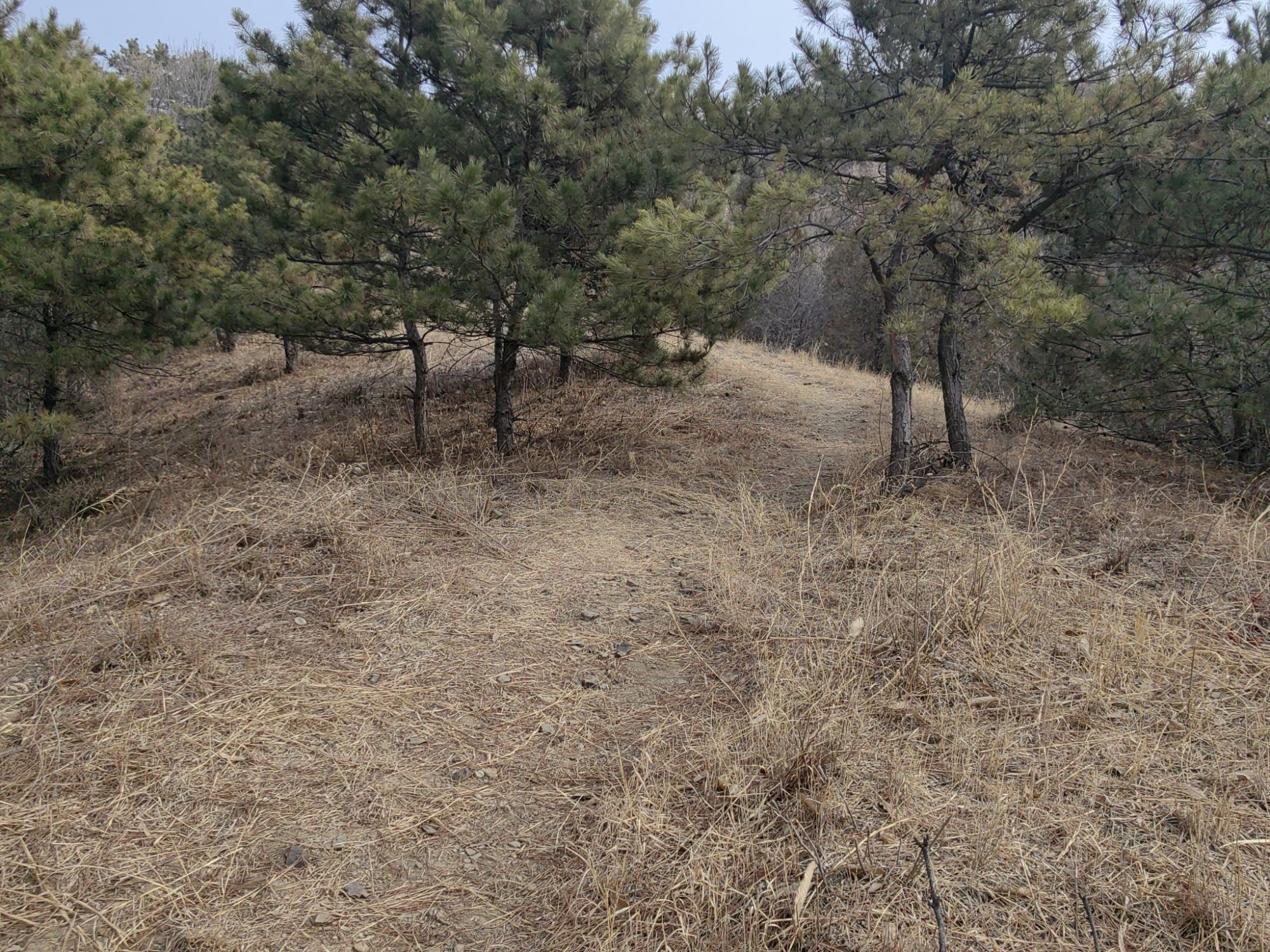 铁岭子登山步道旅行图片 2