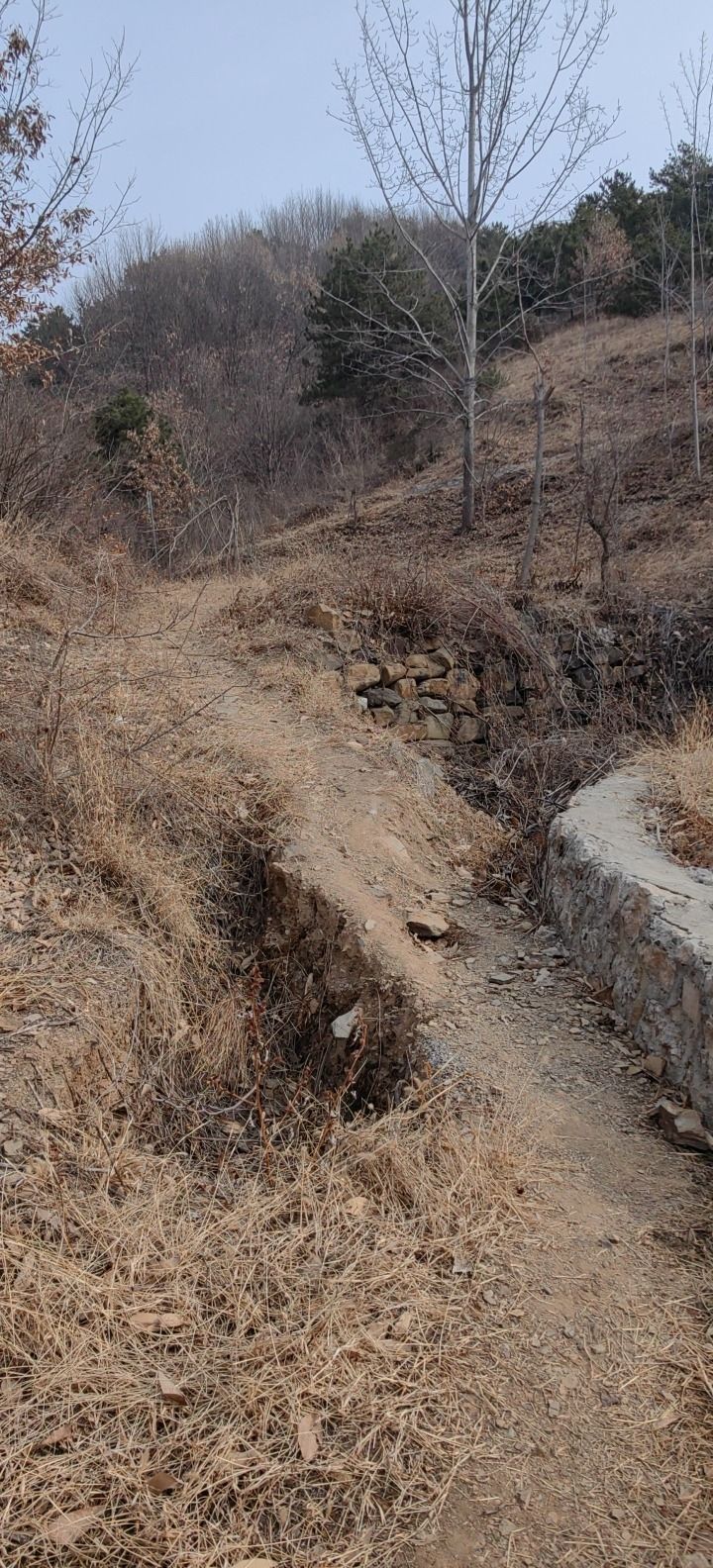 铁岭子登山步道旅行图片 1