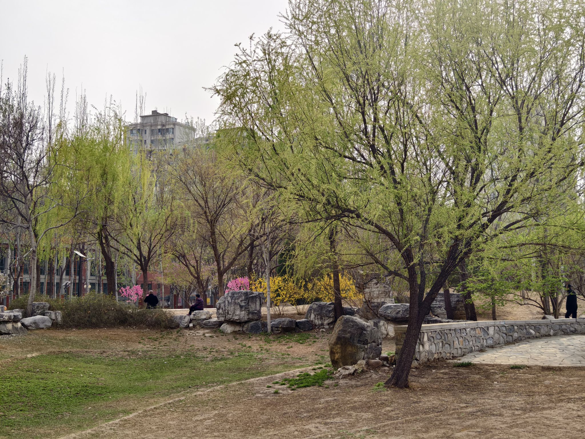 东一处公园旅行图片 2