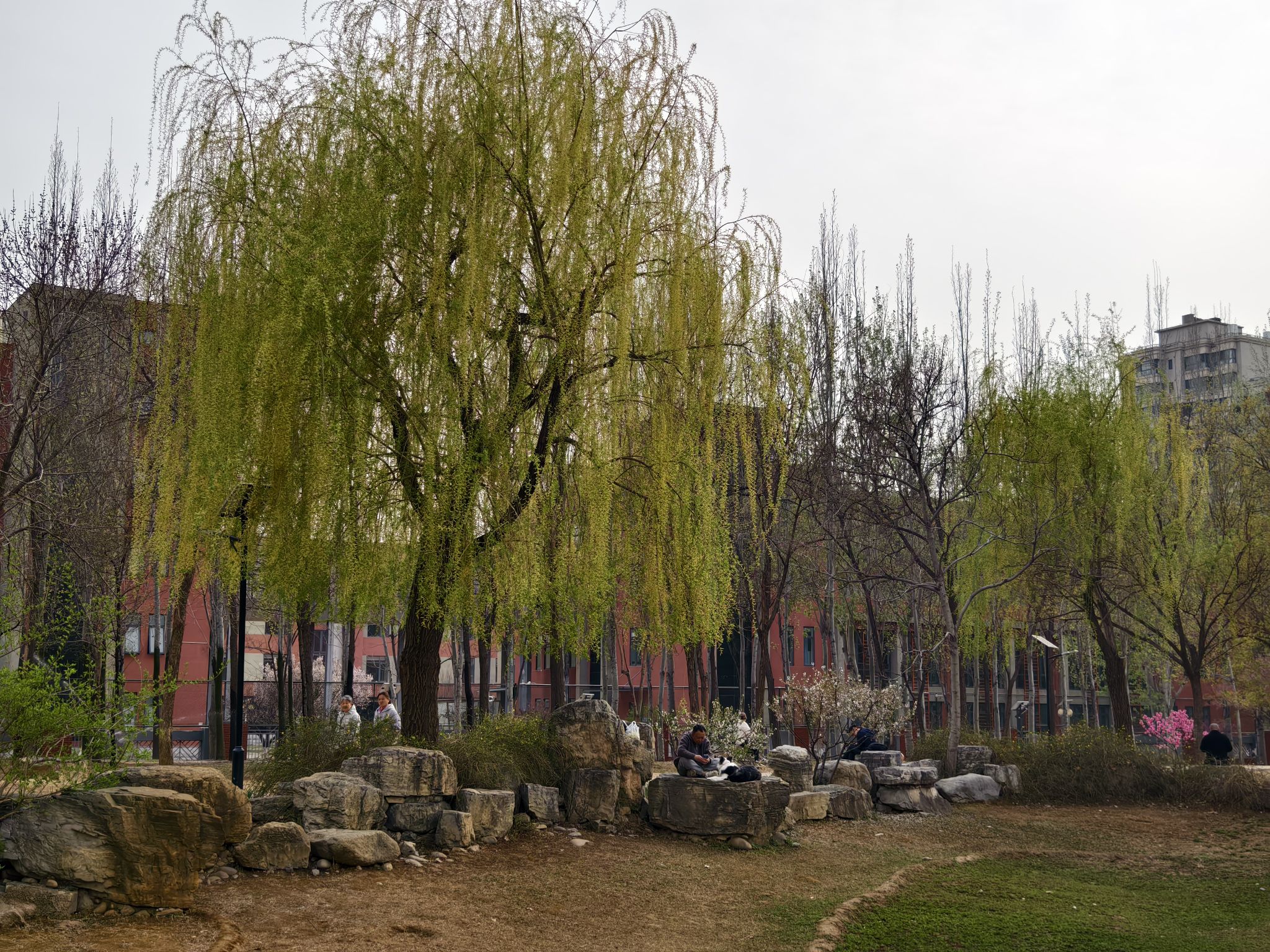 东一处公园旅行图片 3
