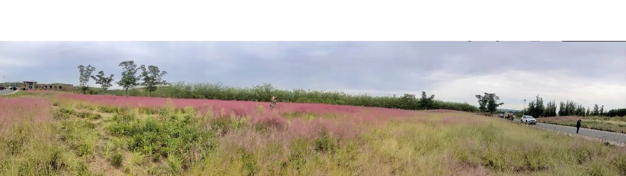 观岭山旅行图片 3