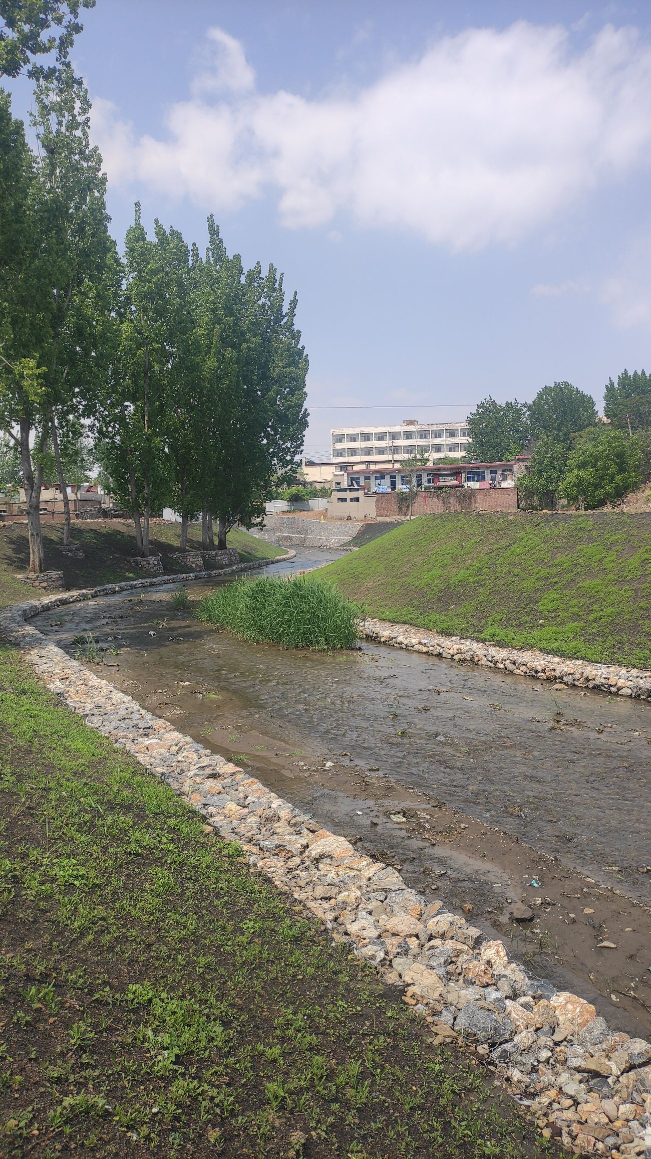 观岭山旅行图片 3