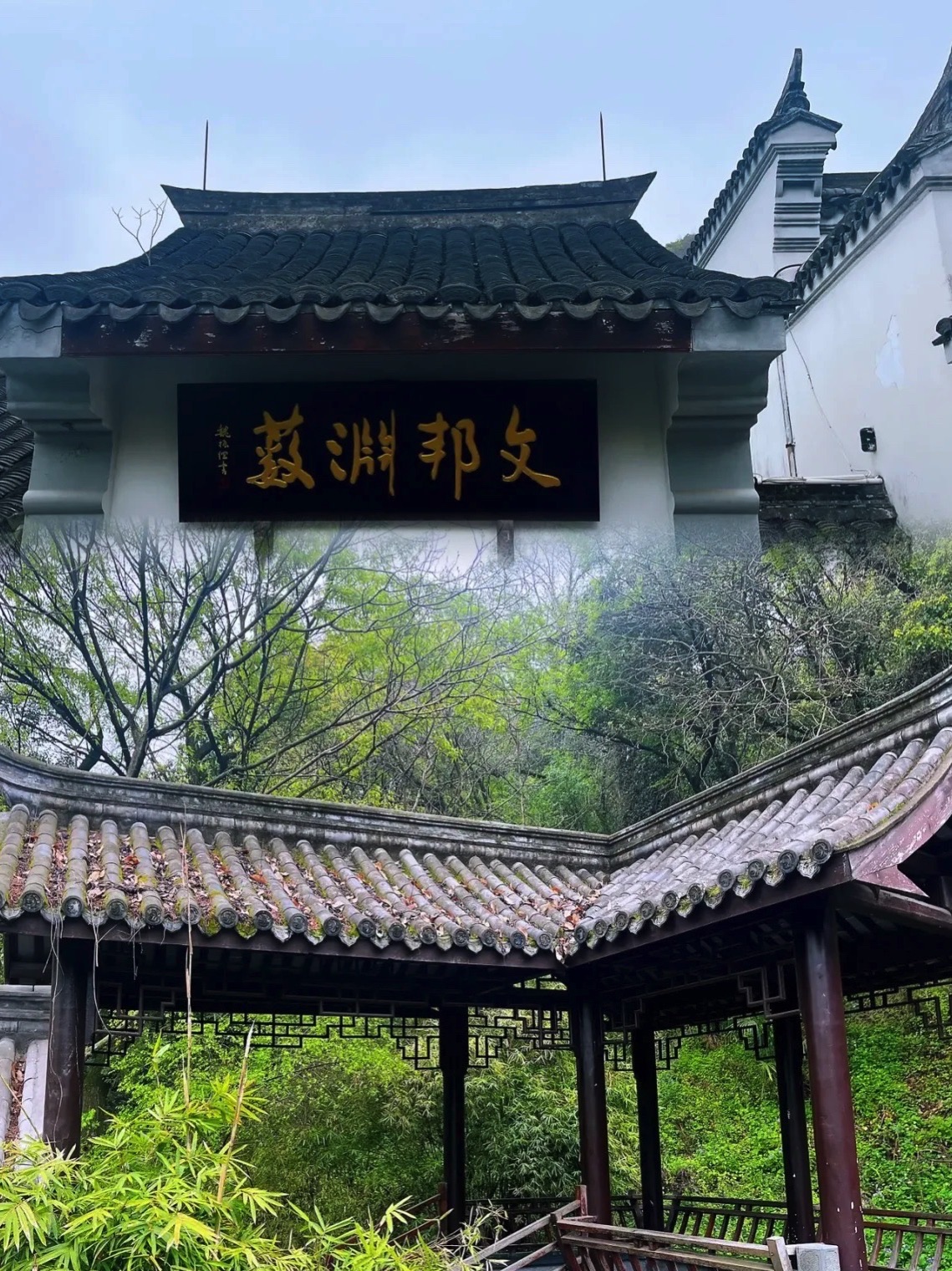 阳明公园旅行图片 1