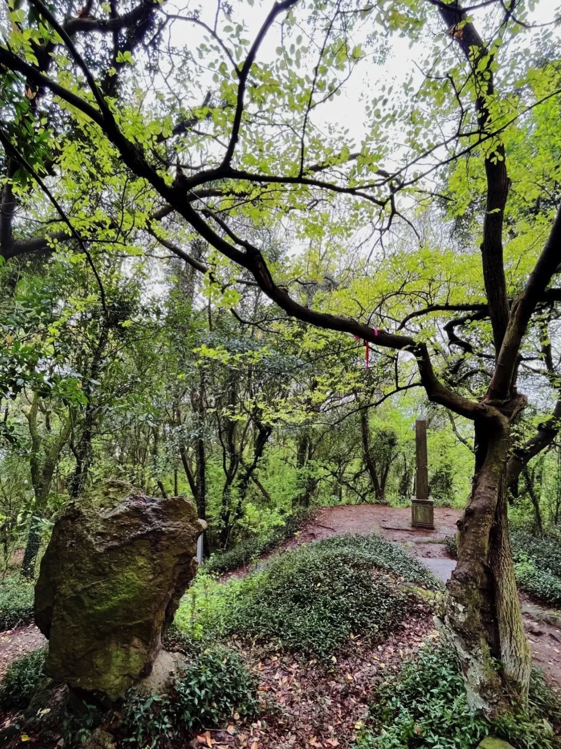 阳明公园旅行图片 3