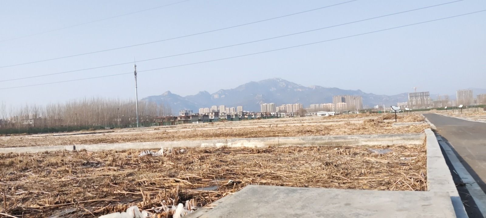 泮河第二湿地旅行图片 3
