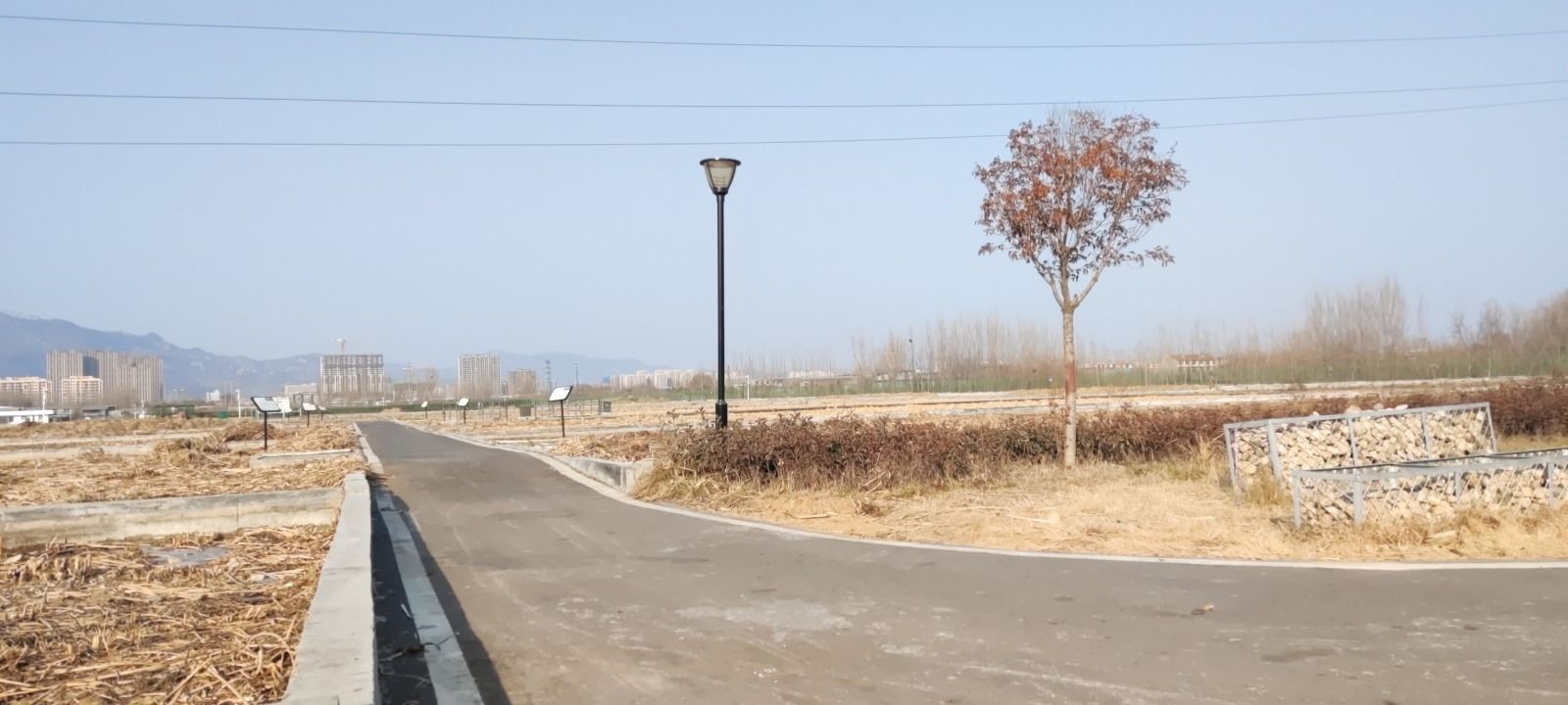 泮河第二湿地旅行图片 2