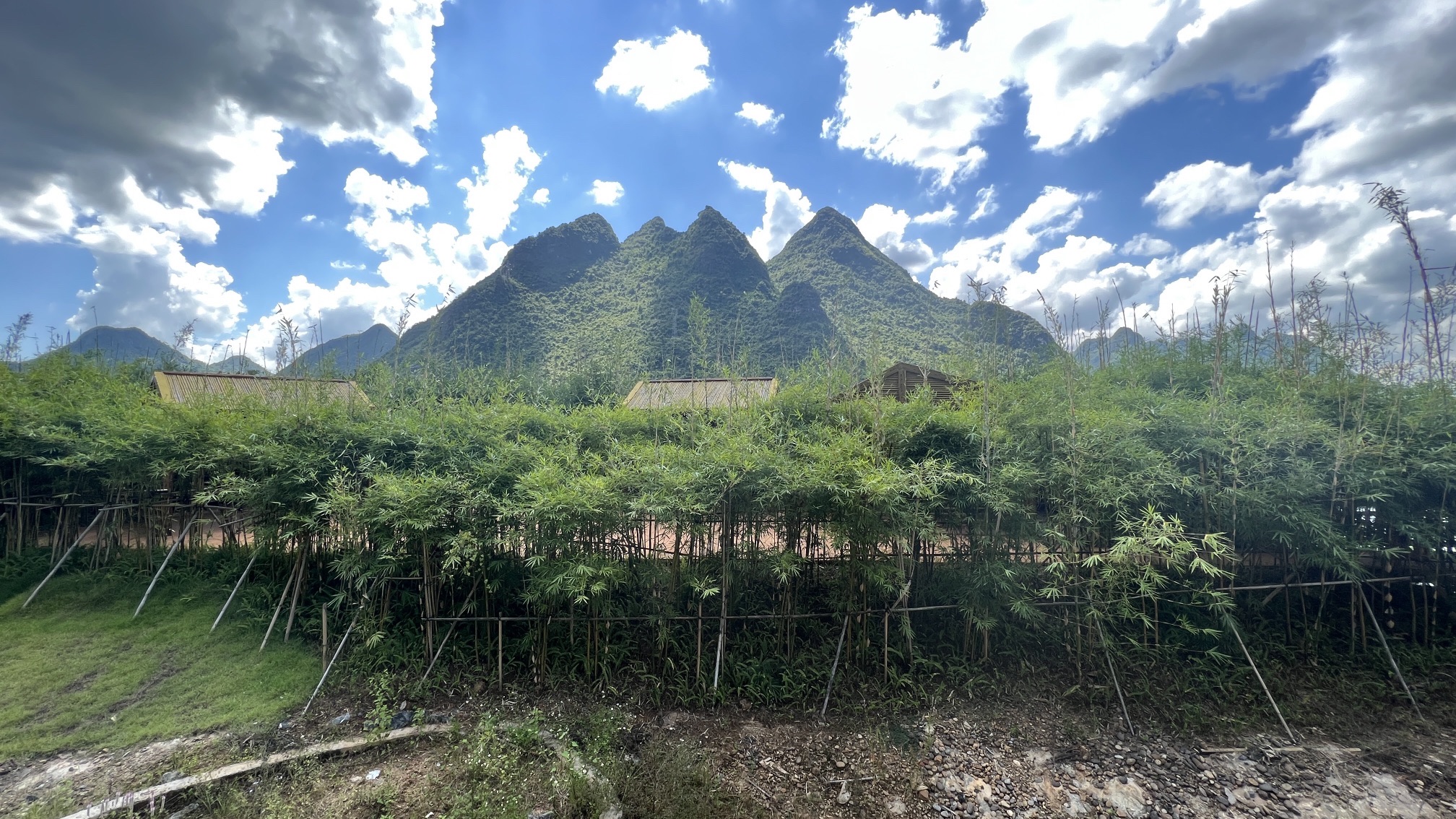 广西忻城乐滩国家湿地公园旅行图片 1