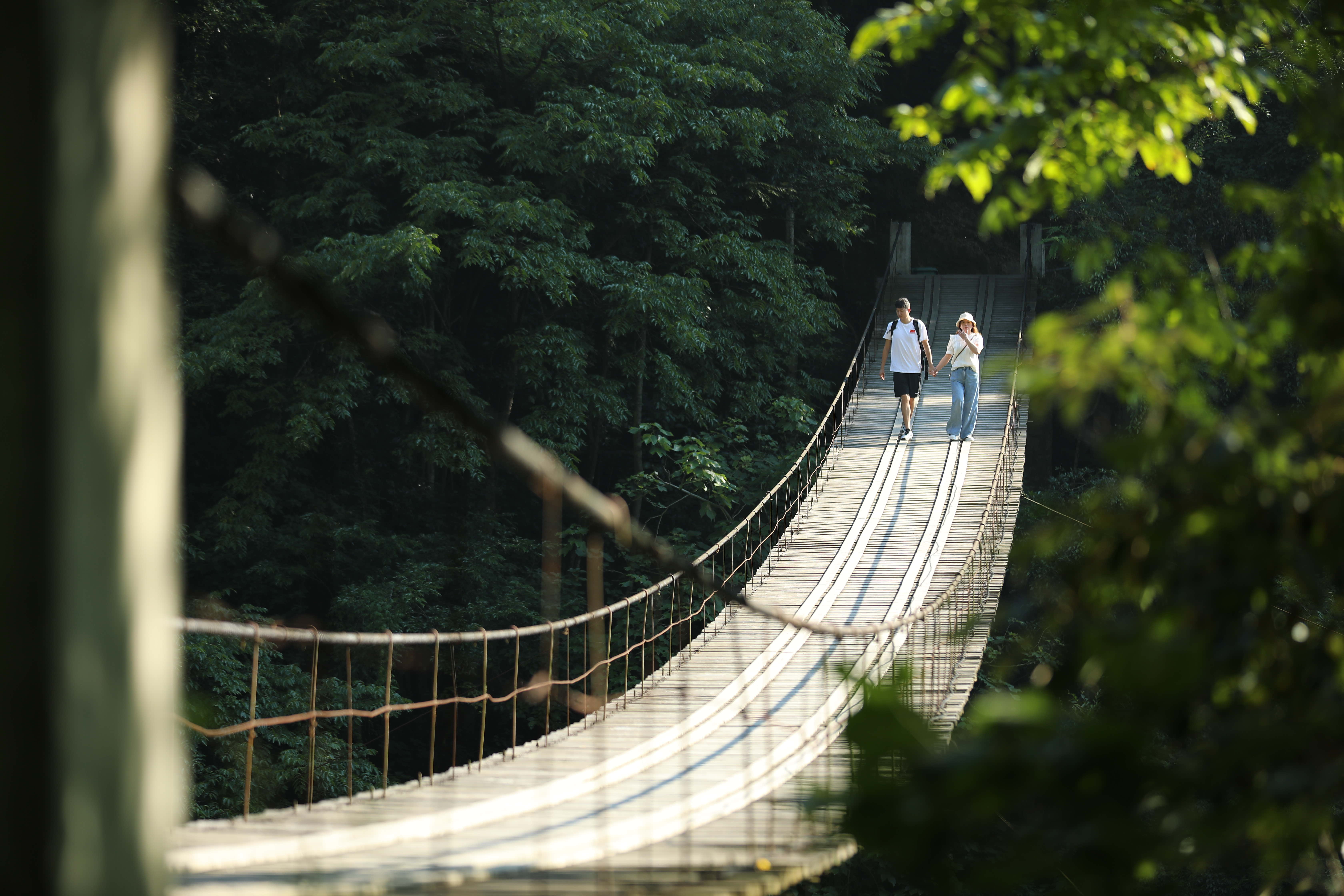 东山峰瞭望台旅行图片 1
