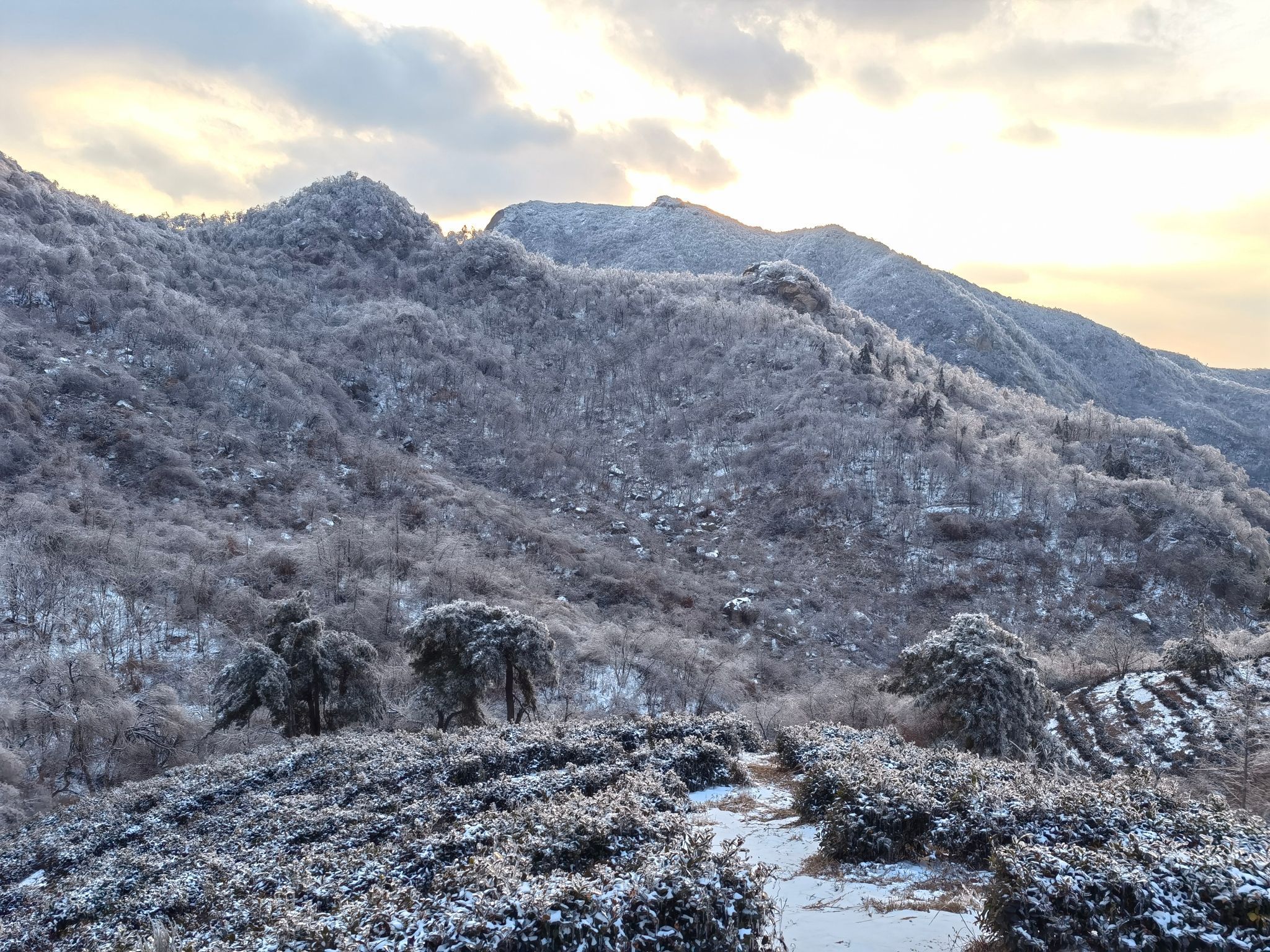 龙袍山主景区旅行图片 1