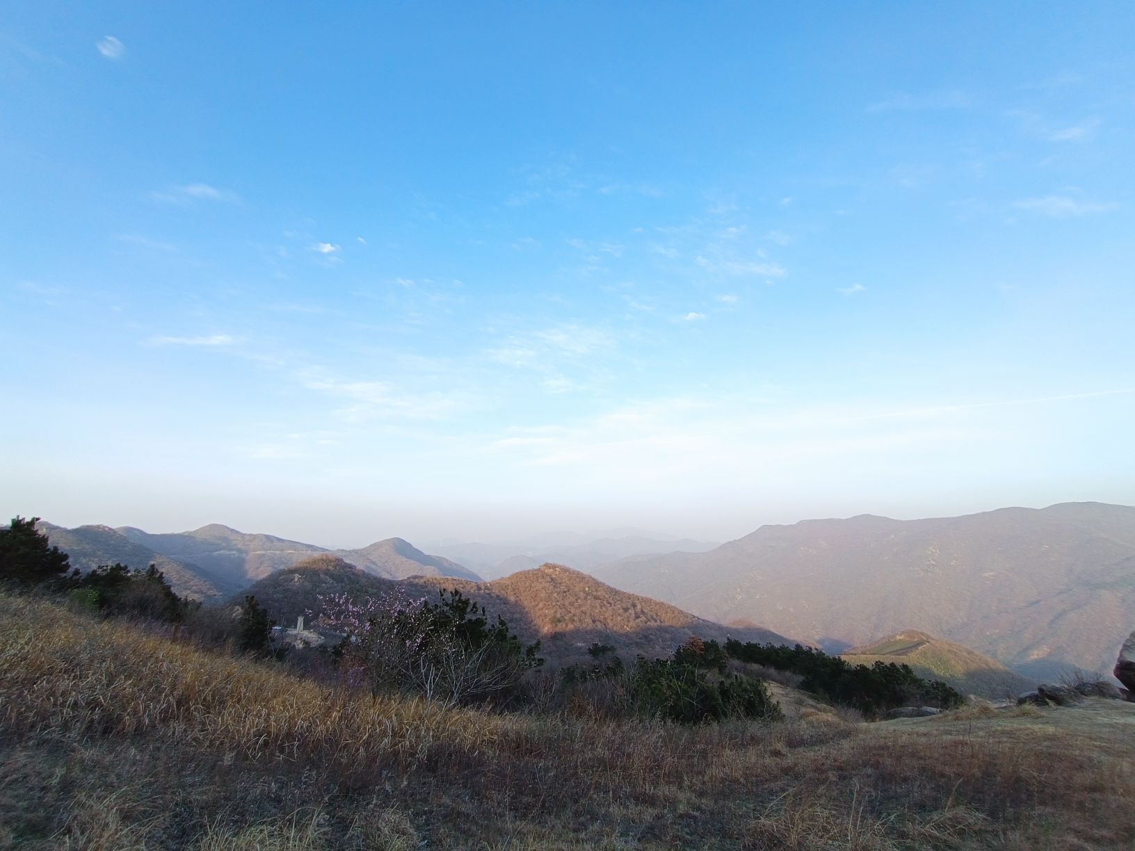 龙袍山主