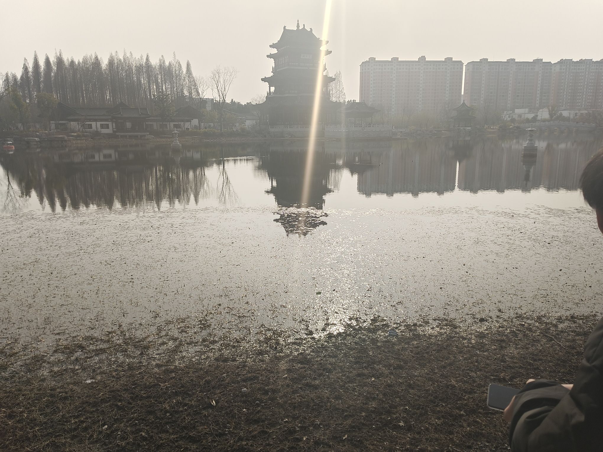 文王阁旅行图片 2