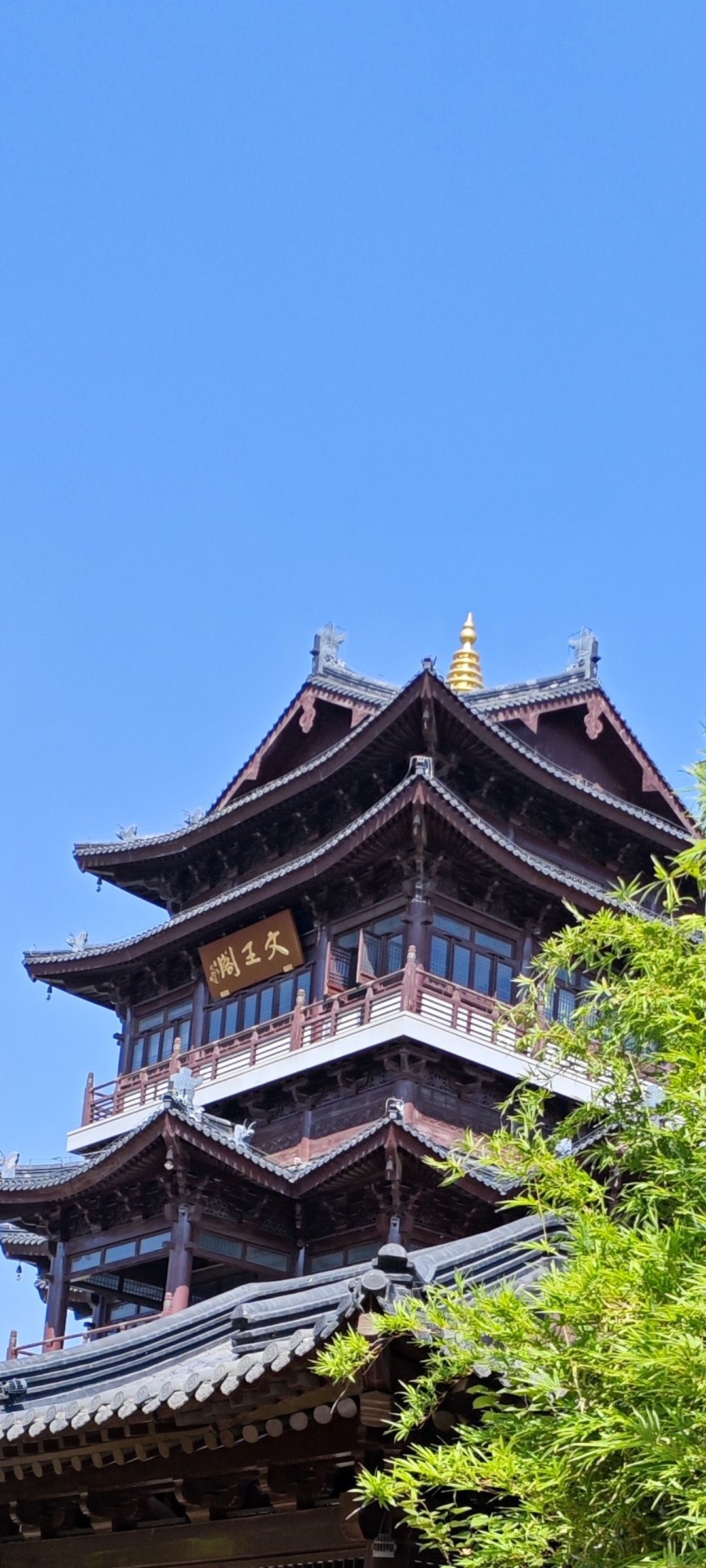 文王阁旅行图片 1