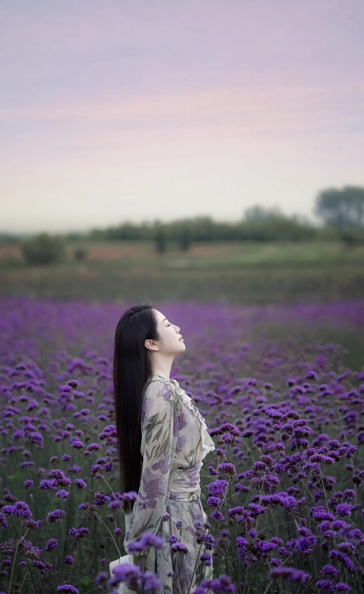 豫见江南四季花海旅行图片 2