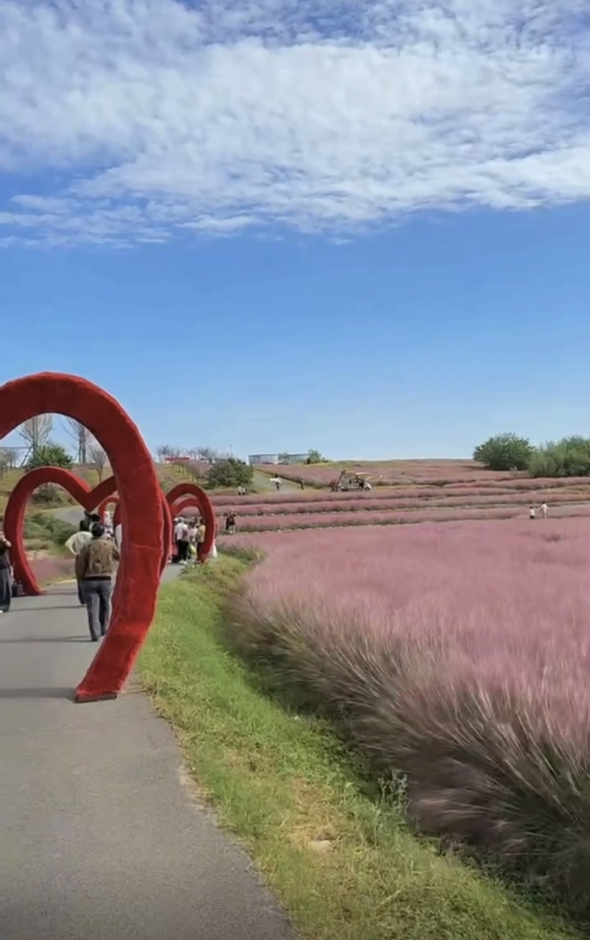 豫见江南四季花海旅行图片 1