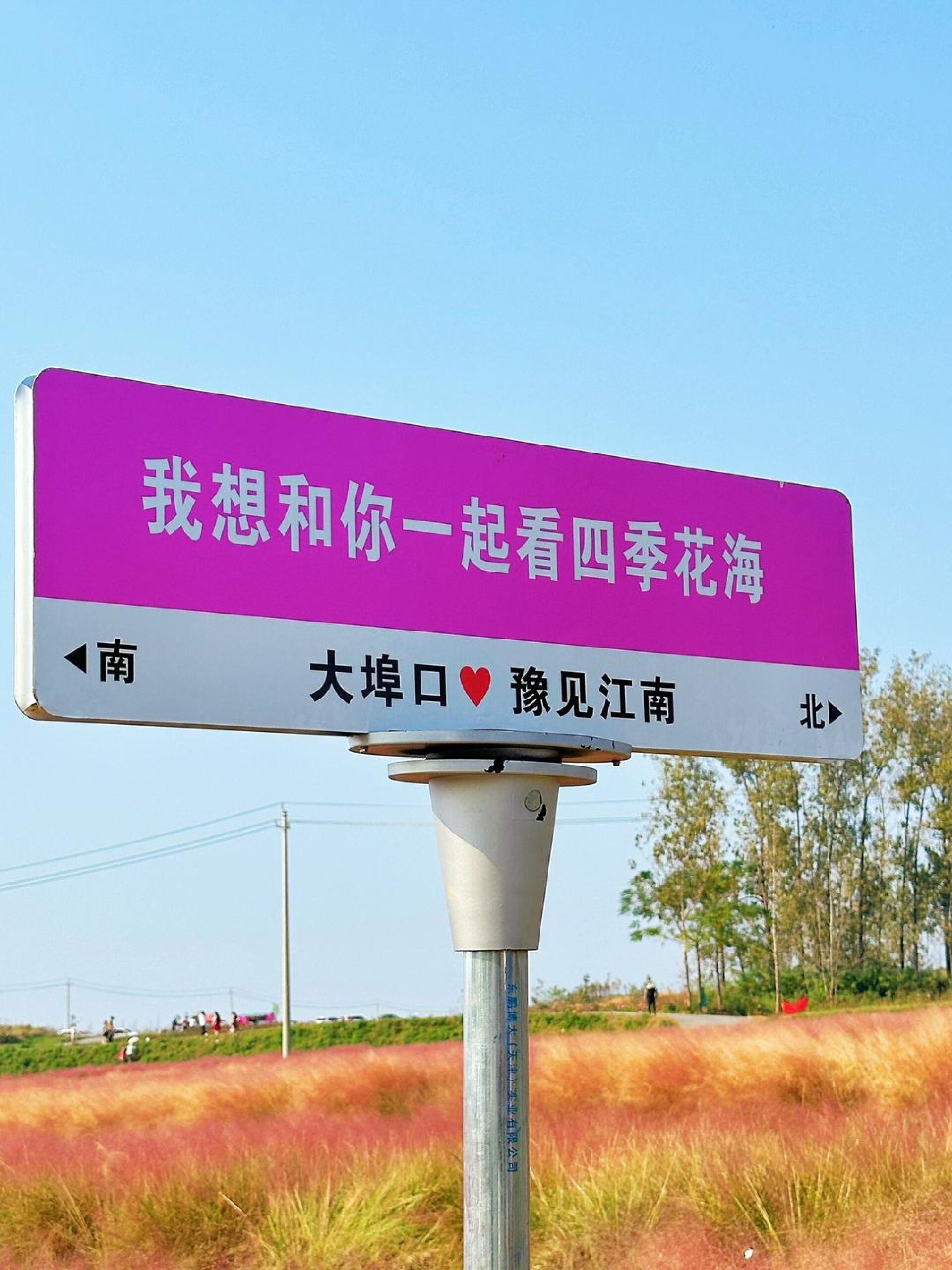 豫见江南四季花海旅行图片 1
