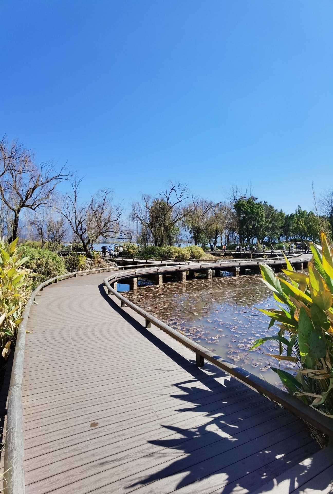 日月台旅行图片 2