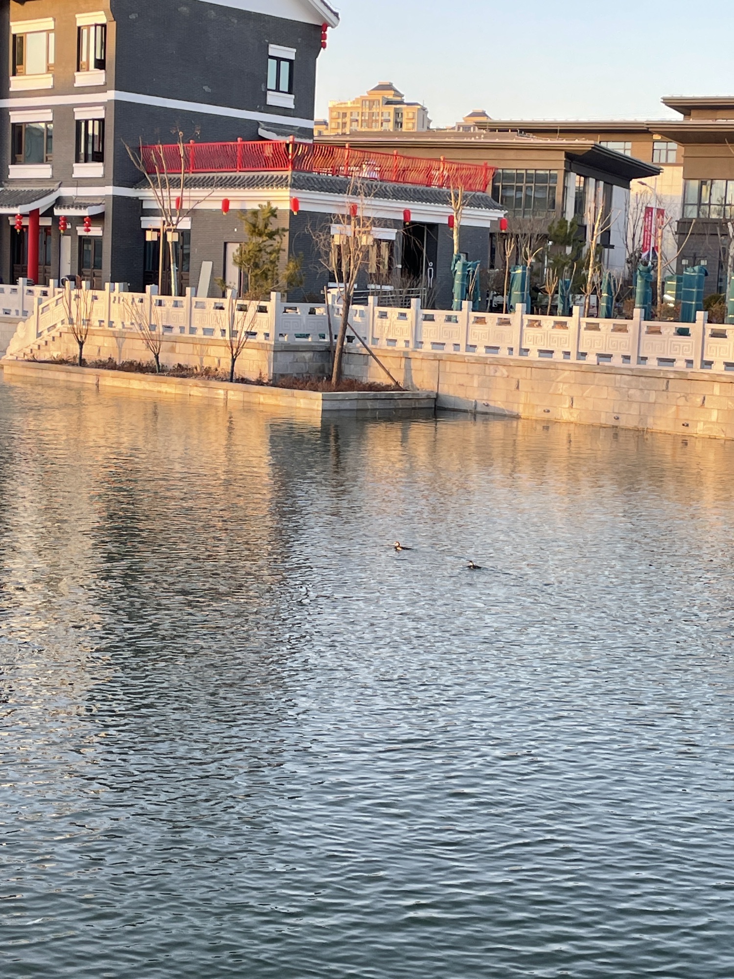 中国·高唐书画小镇旅行图片 2