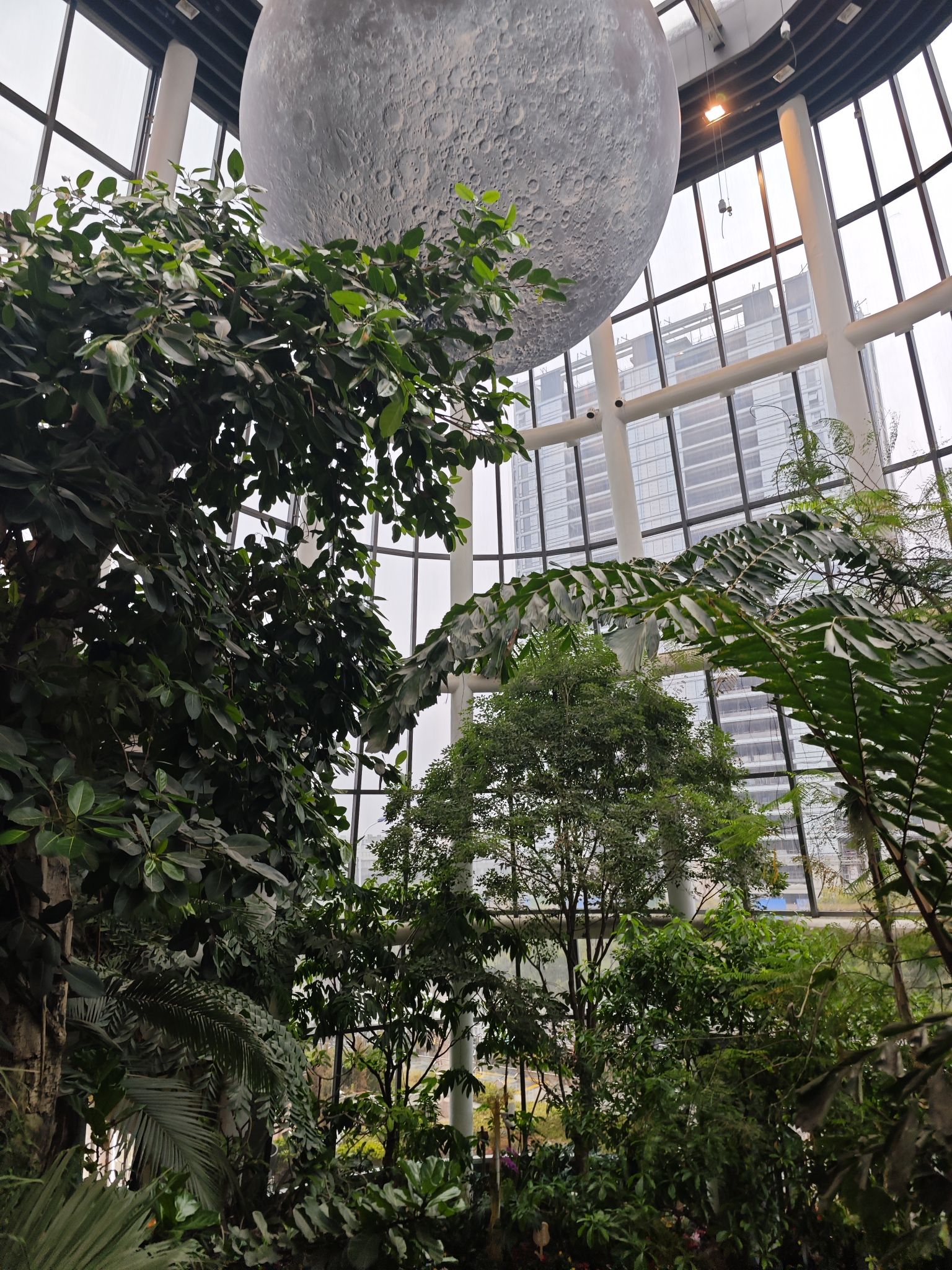 觅境森林旅行图片 1