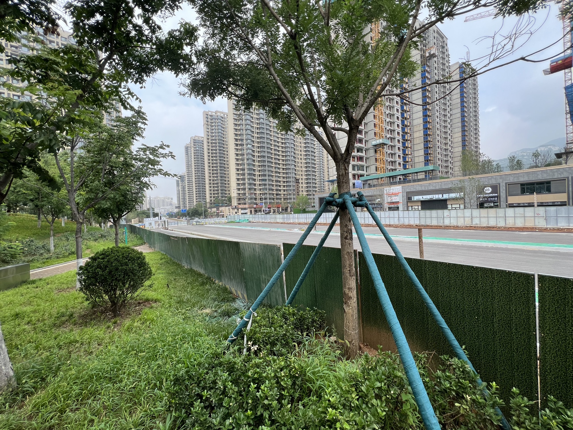 望岳康体公园旅行图片 3