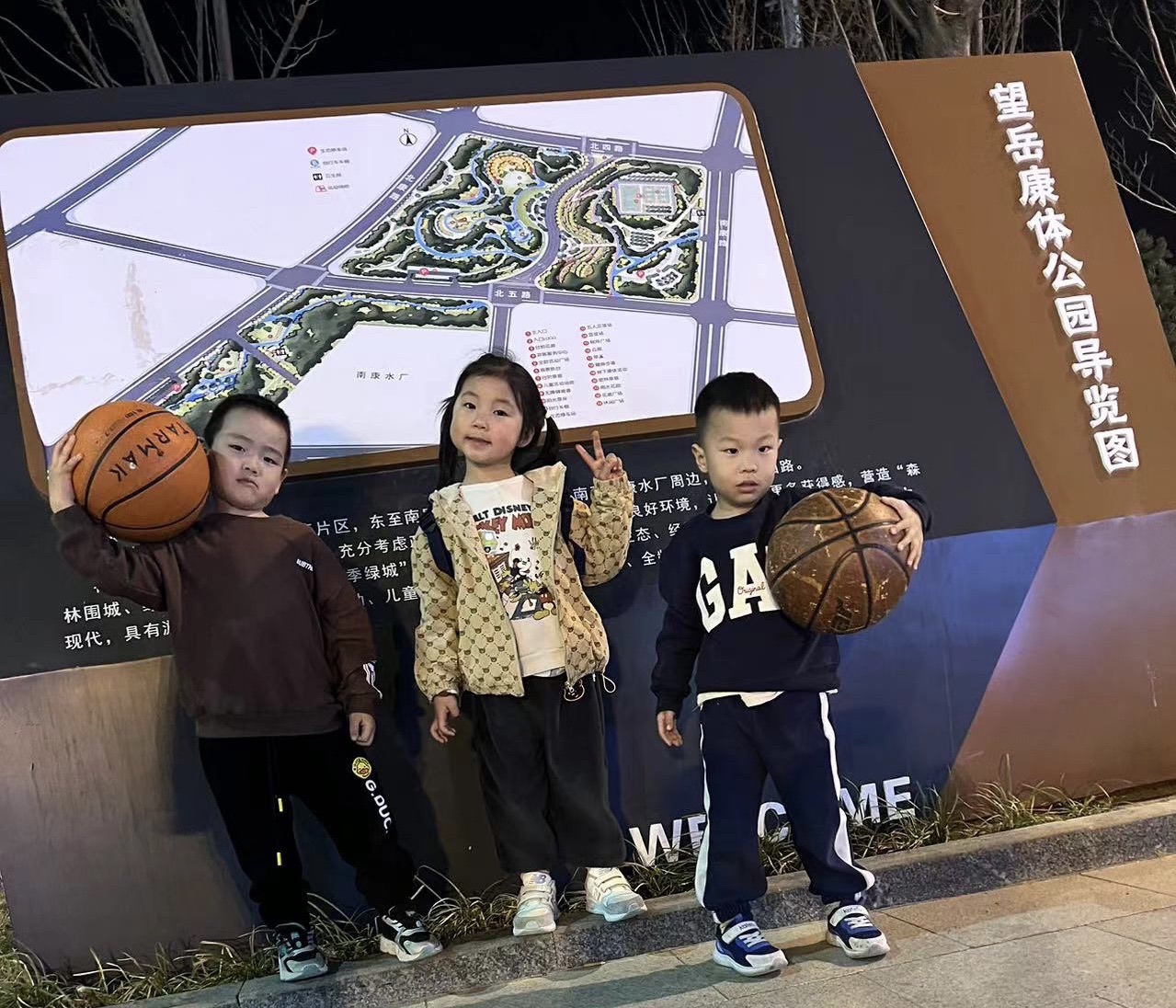 望岳康体公园旅行图片 1