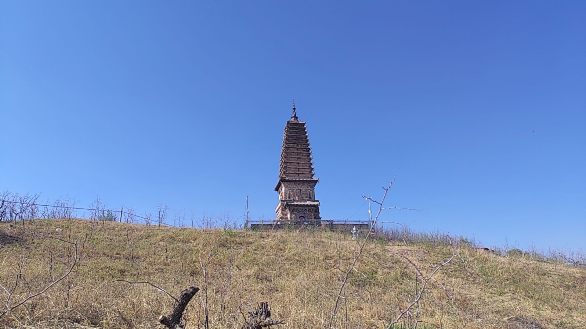 青峰塔旅行图片 3