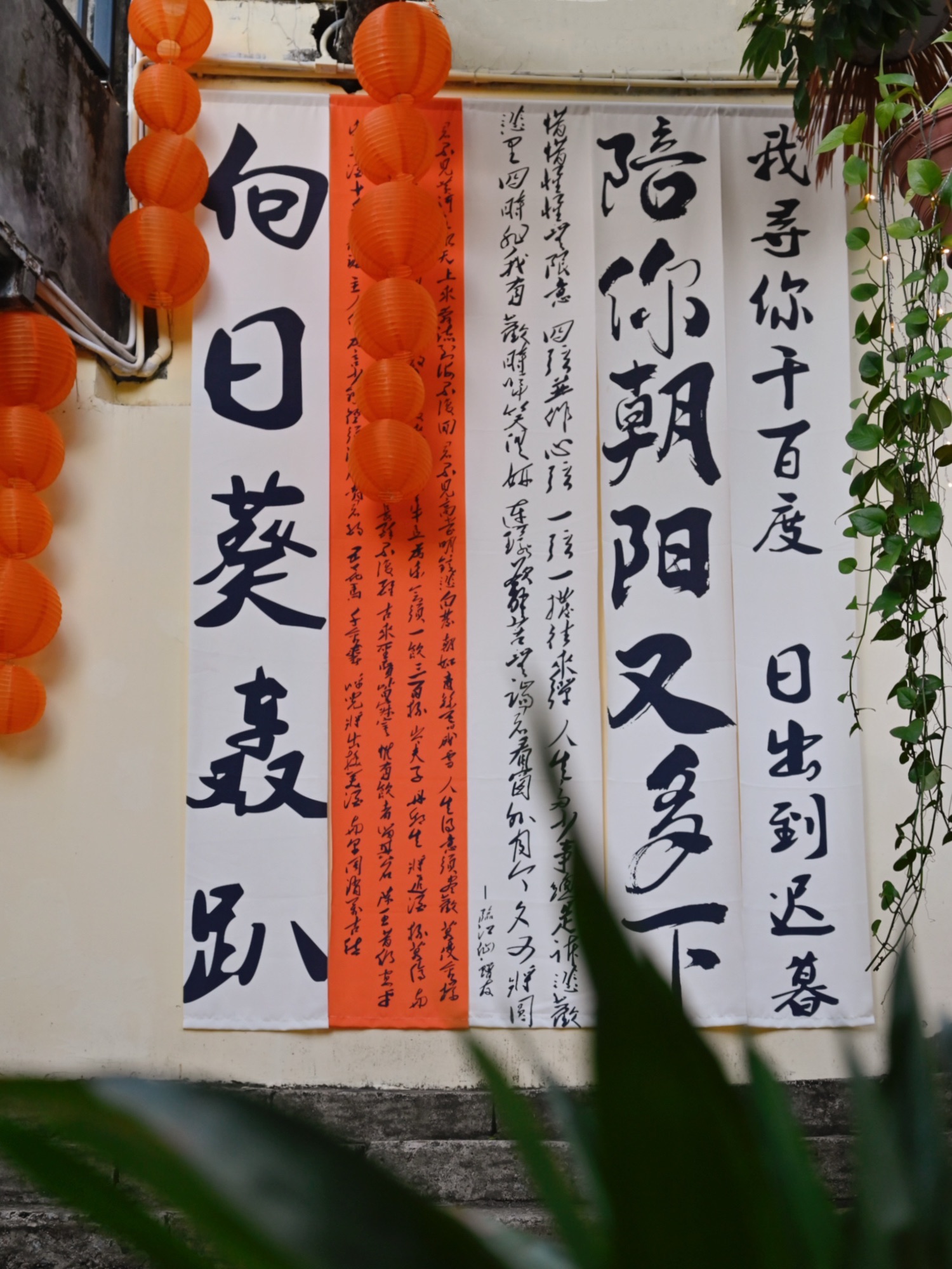 场地封面-向日葵轰趴院