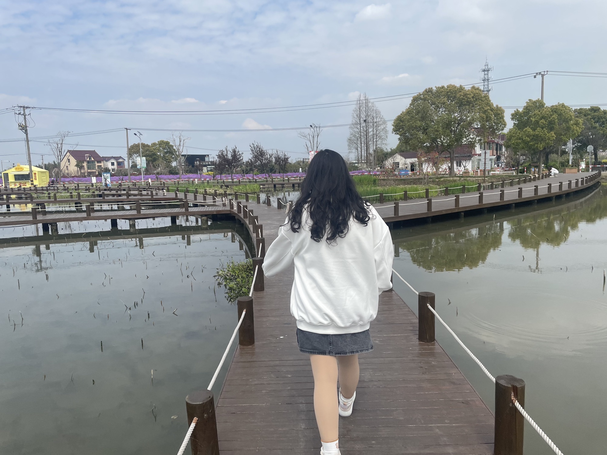 上海漕泾郊野公园旅行图片 2