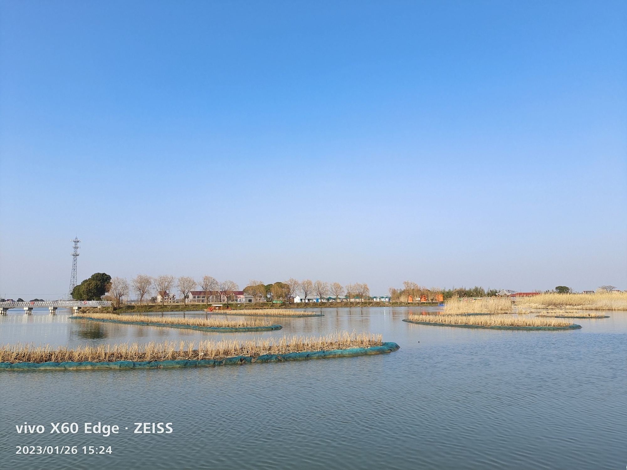 上海漕泾郊野公园旅行图片 3