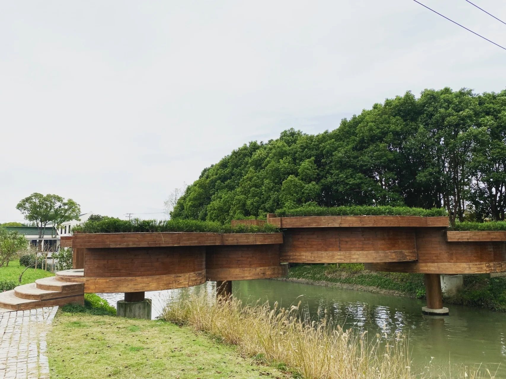 上海漕泾郊野公园旅行图片 2