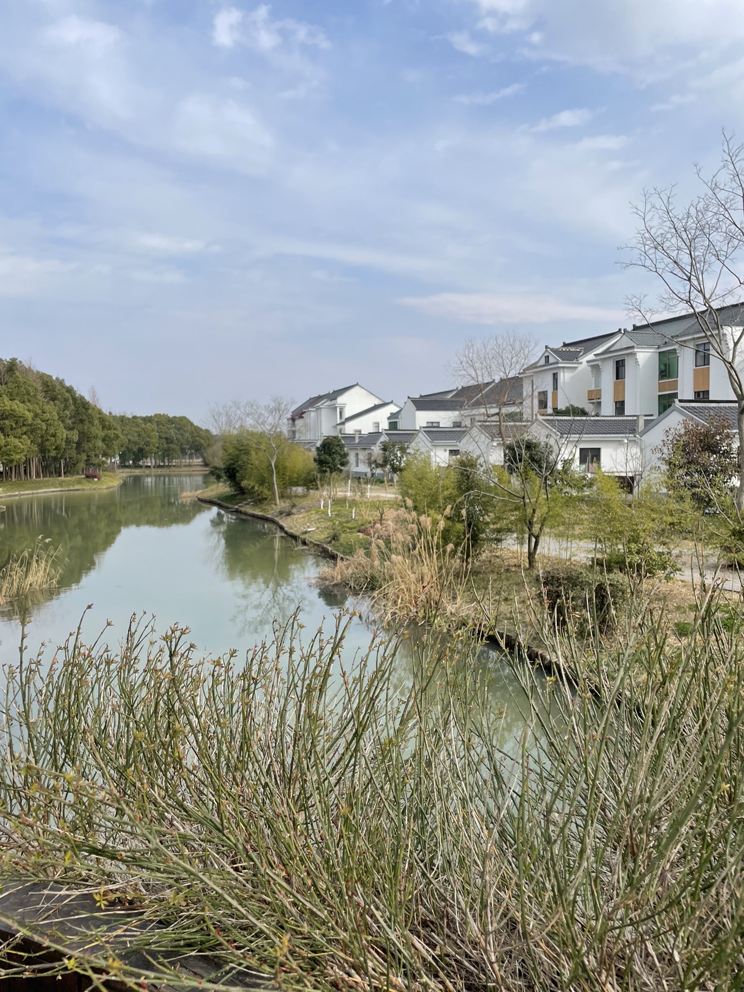 上海漕泾郊野公园旅行图片 3