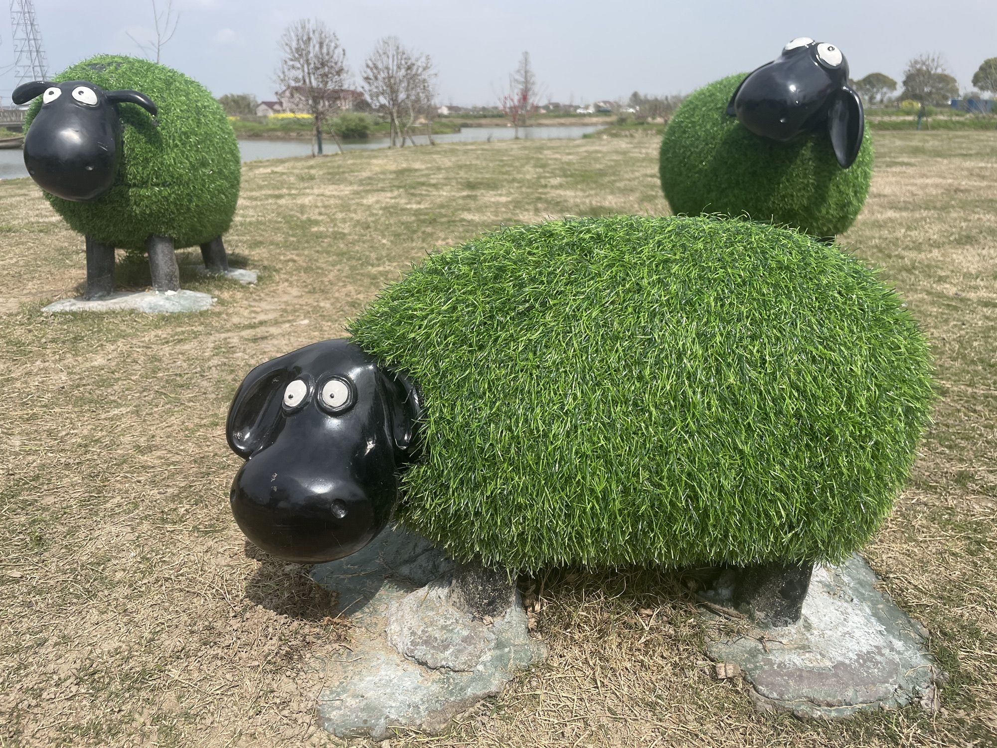 上海漕泾郊野公园旅行图片 1