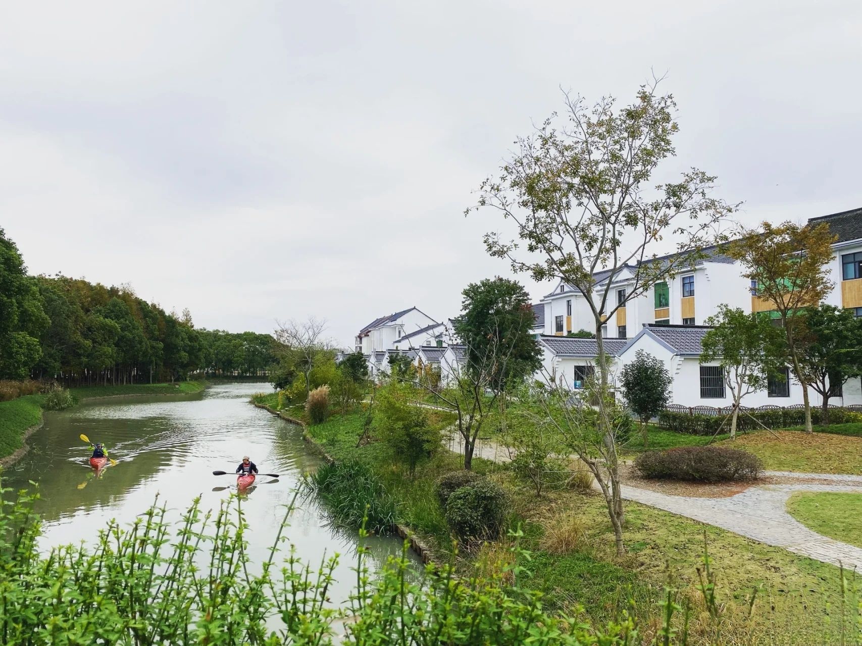上海漕泾郊野公园旅行图片 3