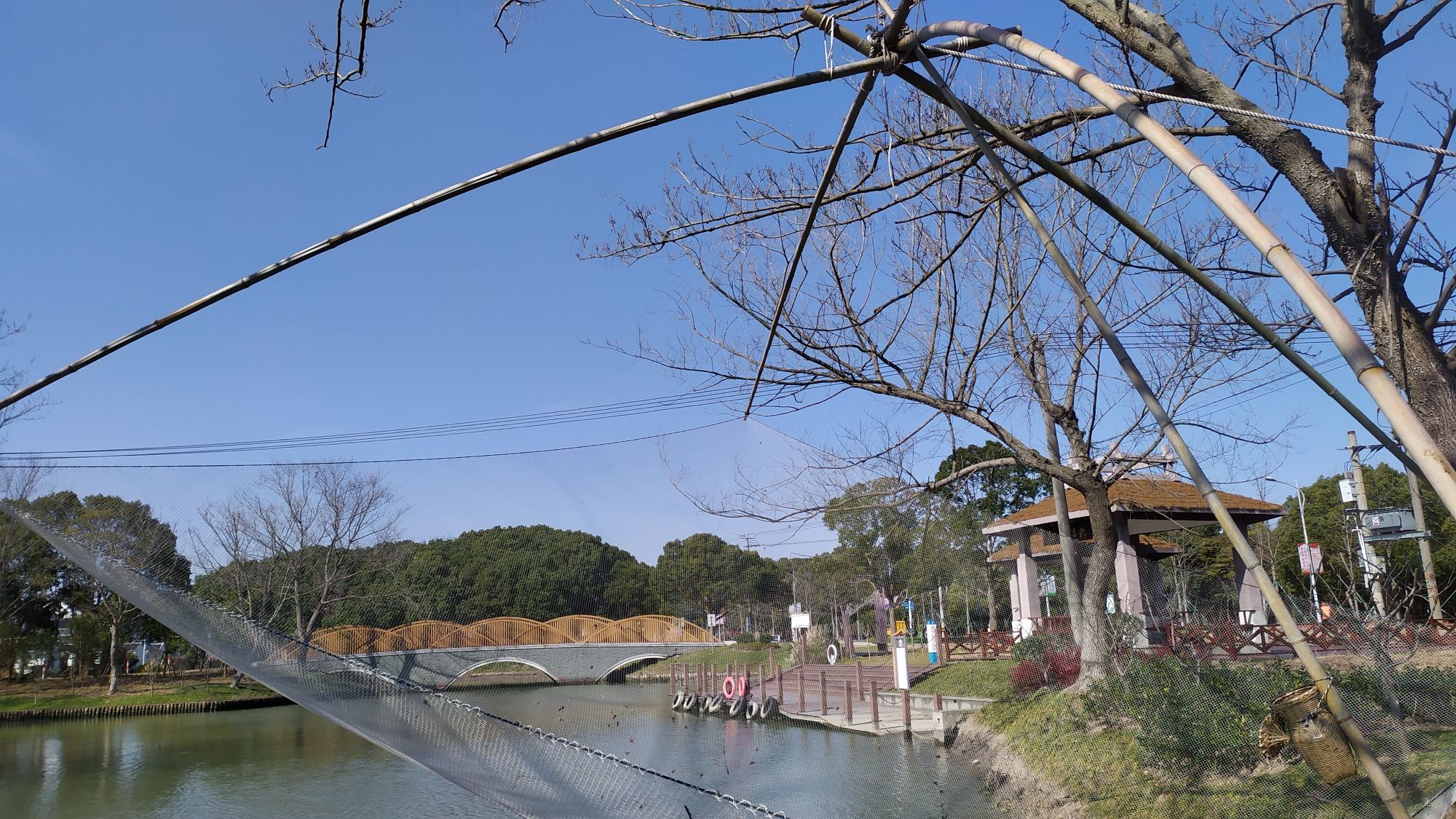 上海漕泾郊野公园旅行图片 2
