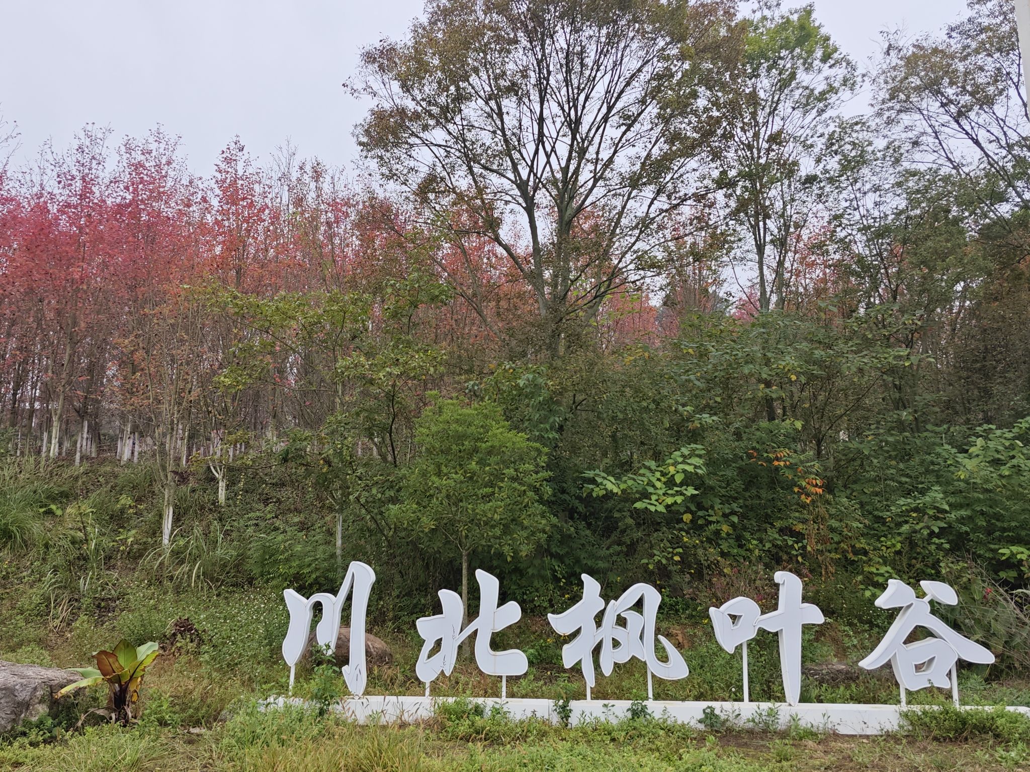川北枫叶谷旅行图片 1