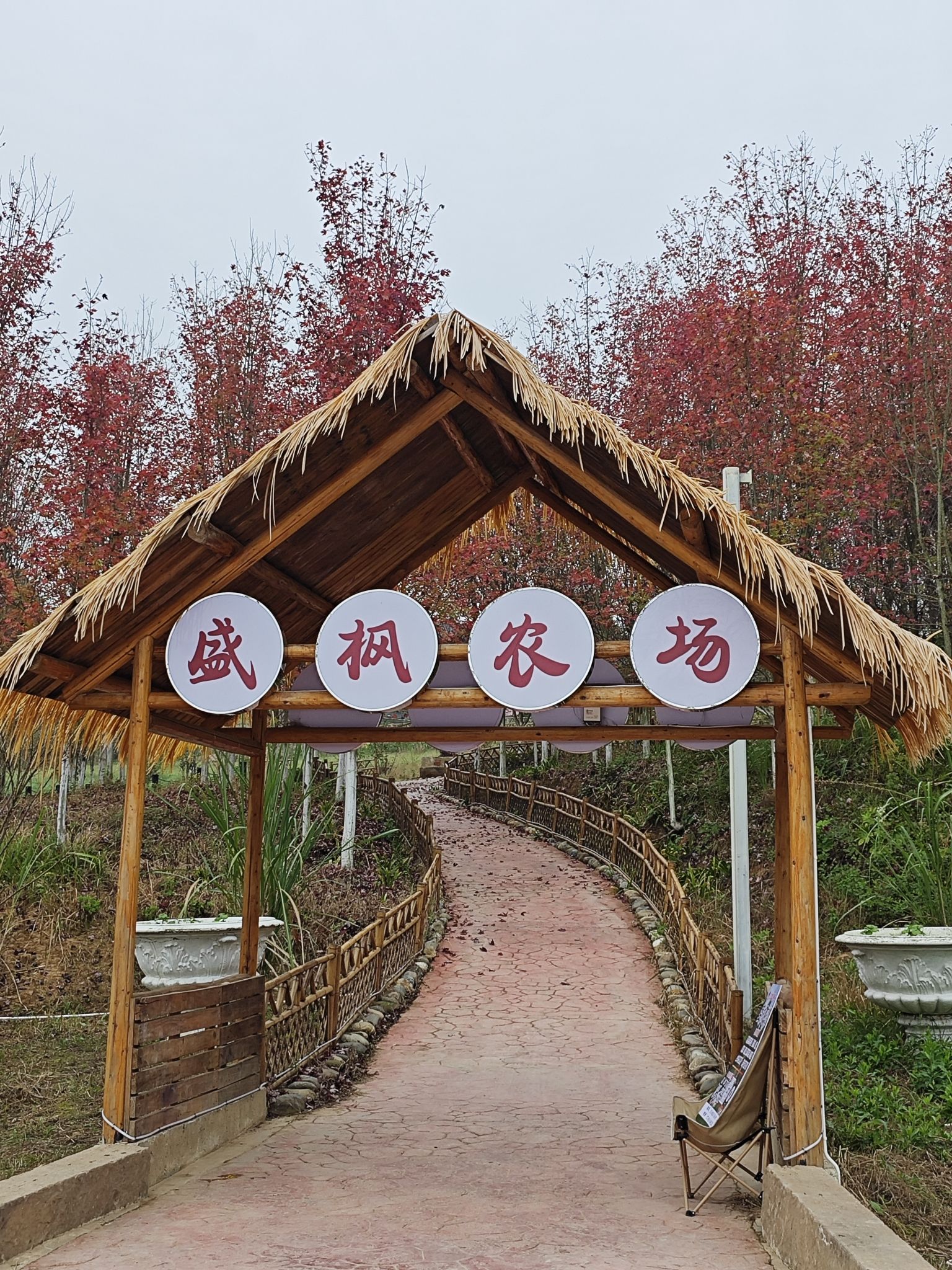 川北枫叶谷旅行图片 2
